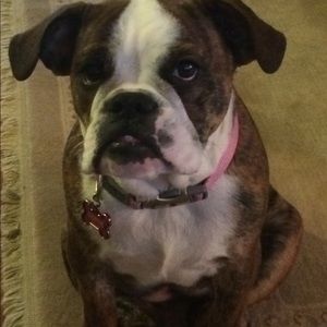 Meet your Posher, Charlotte